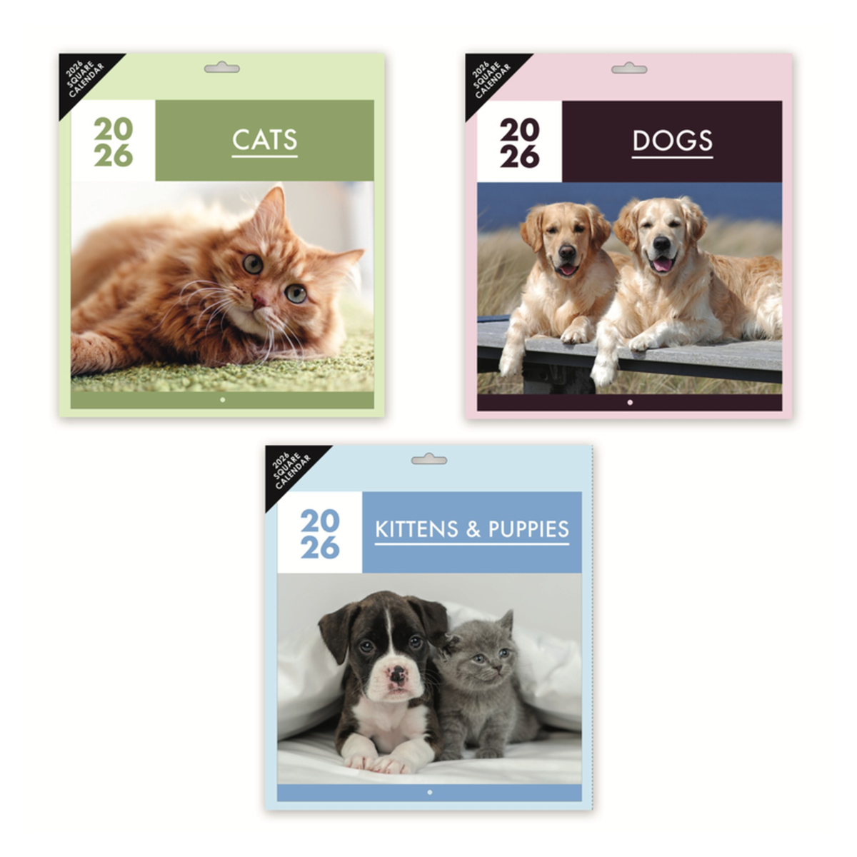 Square Calendar Pets - 3 Assorted Designs