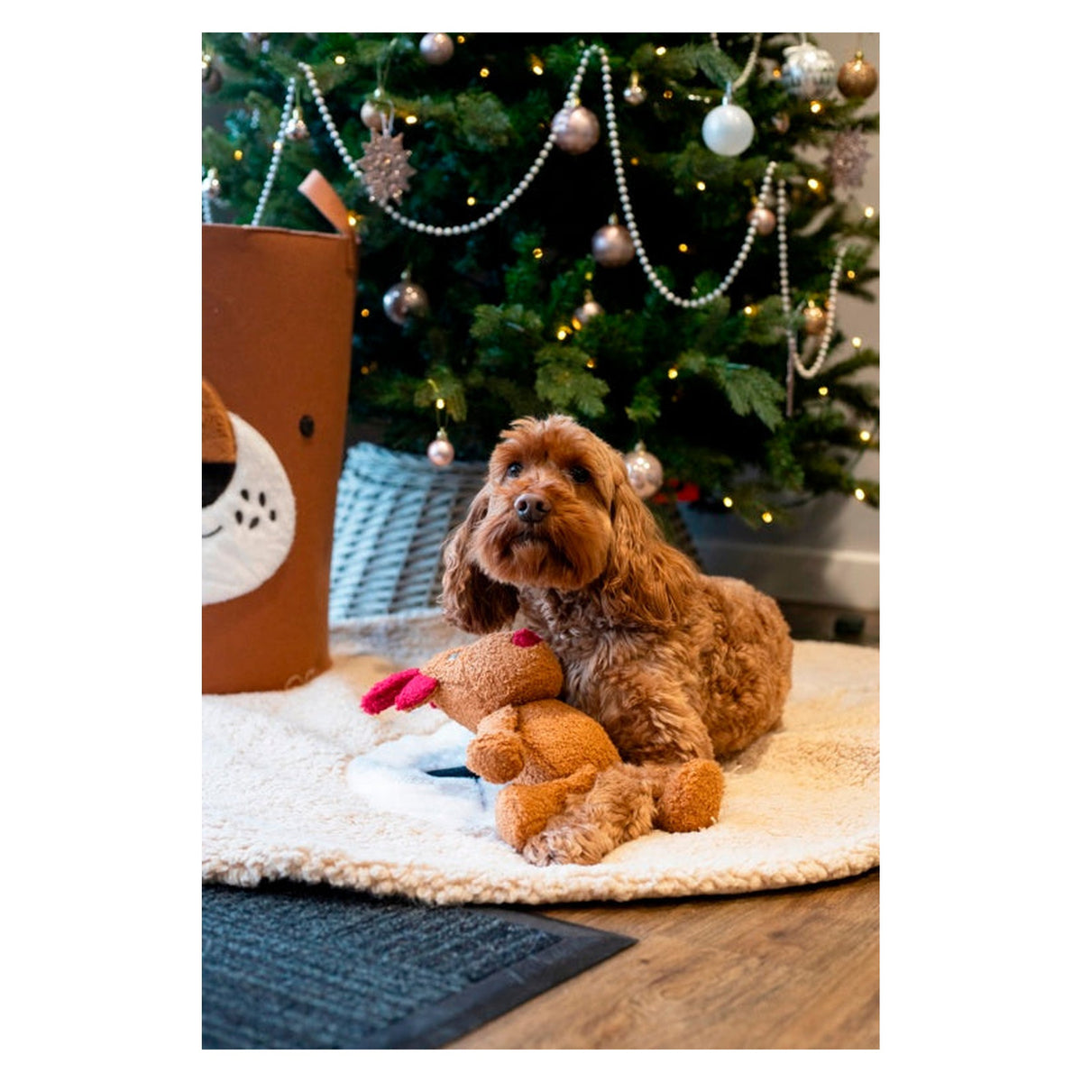 Tufflove Reindeer