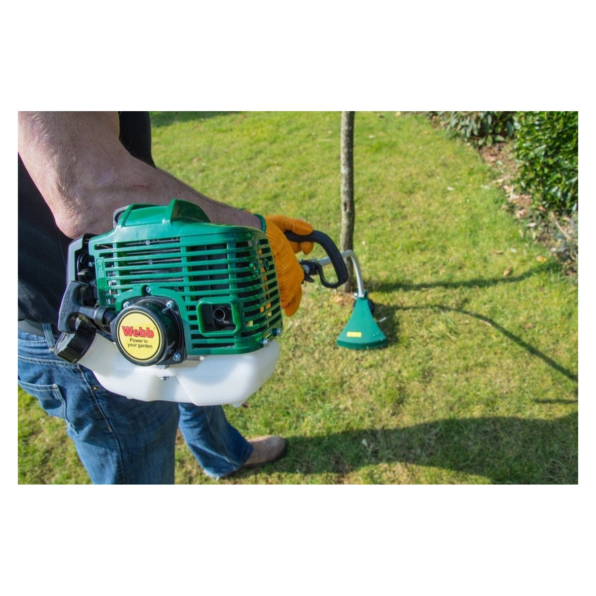 Webb 26cc petrol line trimmer with curved shaft, view 3