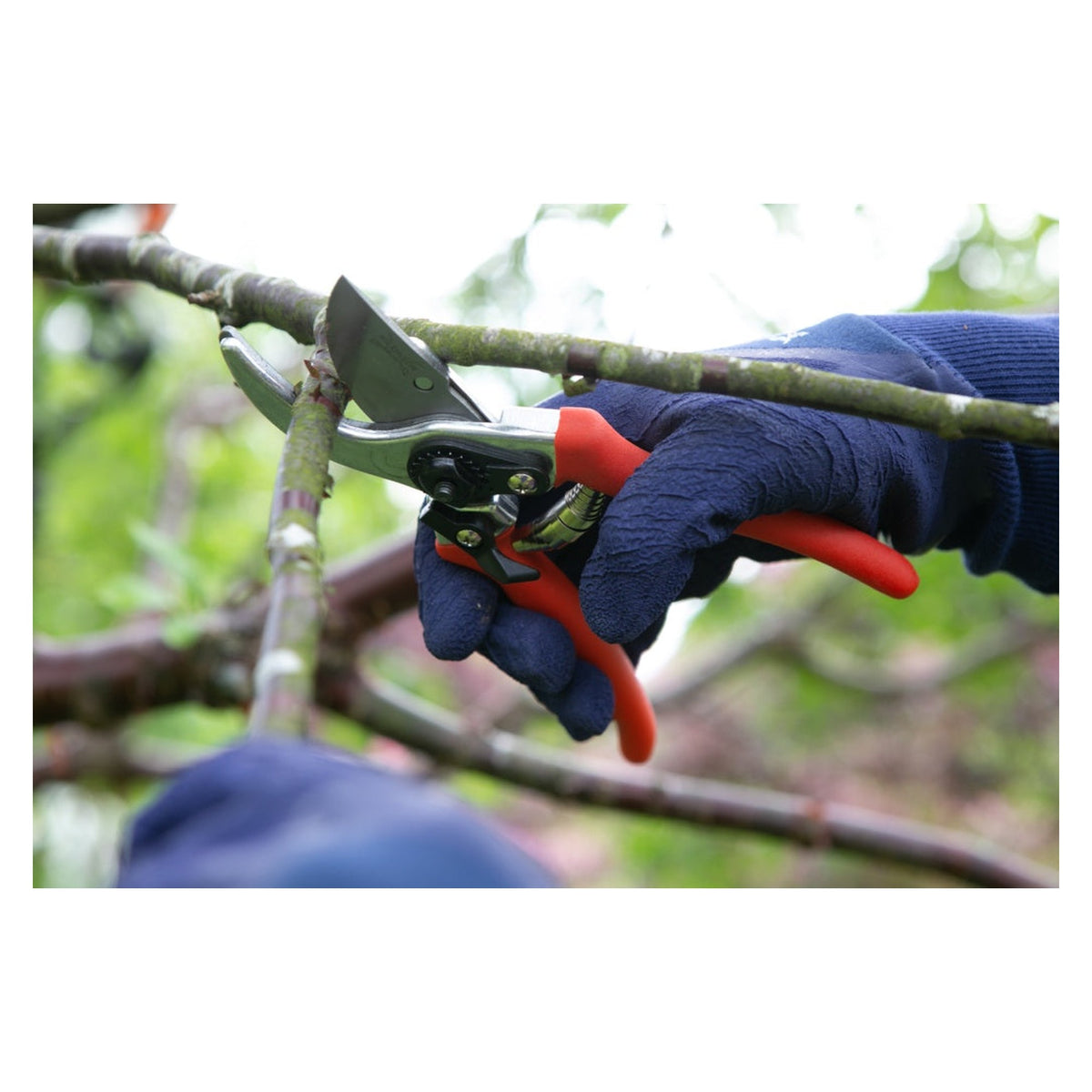 Wilkinson Sword folding saw and pruner set, view 3