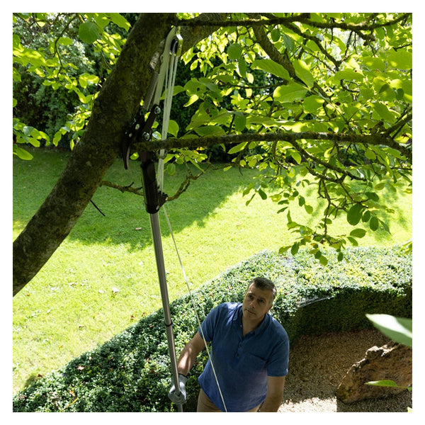 Wilkinson Sword telescopic tree cutter
