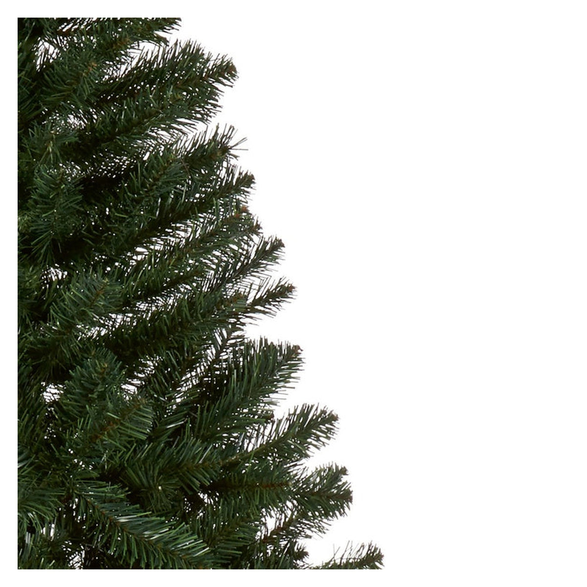 Woodcote Spruce - 2.4m, view 3